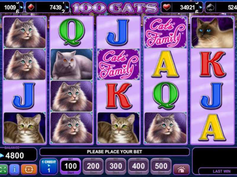 Katzen Spiele Kostenlos Ohne Anmeldung Katzen Spiele Kostenlos Ohne Anmeldung