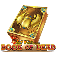 Book of Dead Freispiele ohne Einzahlung