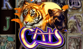 Cats