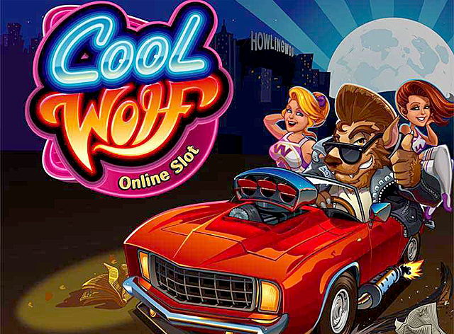 Cool Wolf