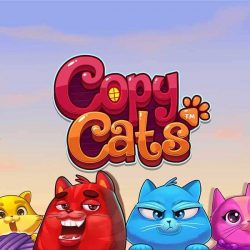 Copy Cats Copy Cats