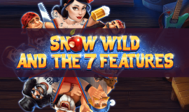 Snow Wild And The 7 Features