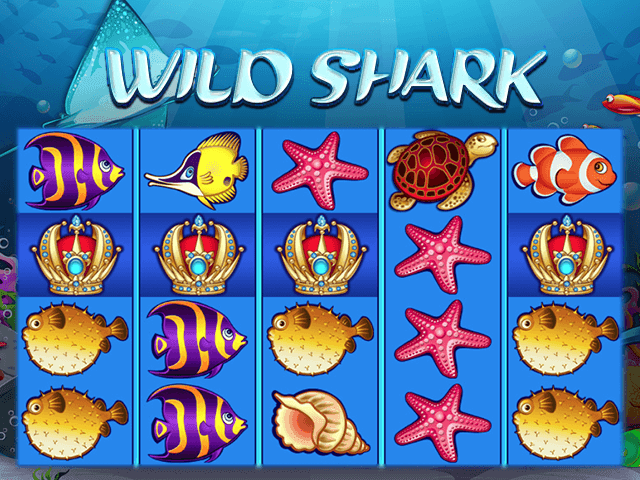 Wild Shark